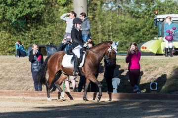Bild 35 - Pony Akademie Turnier